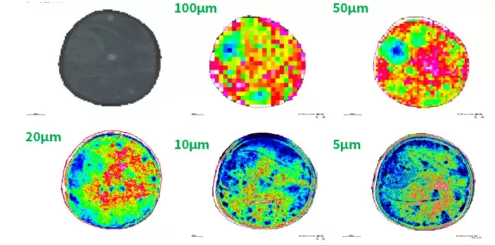 Spatial heatmap of a metabolite